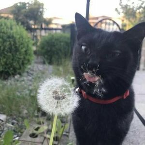 Meet your Posher, Ione